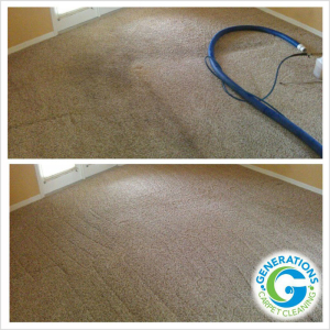 Daily Grime - carpet cleaning - Generations Carpet Cleaning