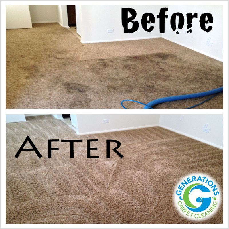 stain removal - Generation Carpet Cleaning