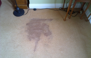 Generations Carpet Cleaning - reappearing stain