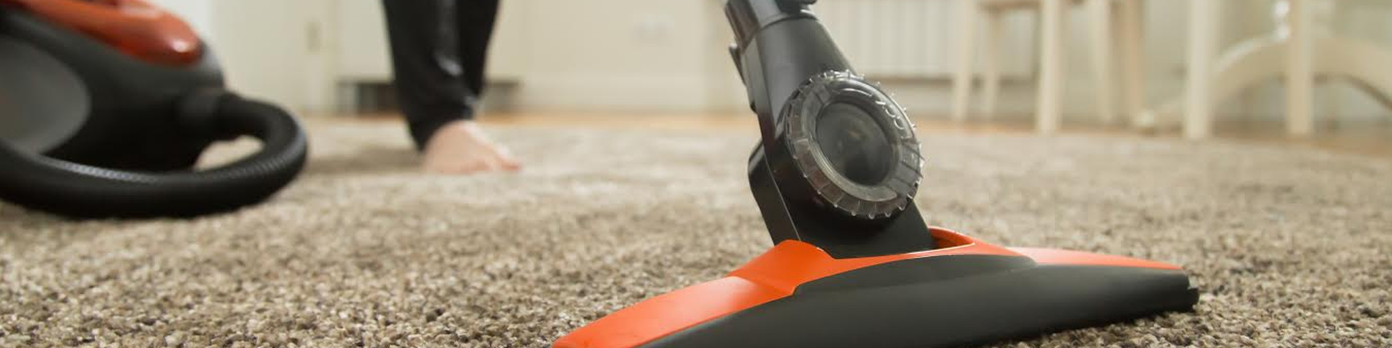 Palm Harbor Carpet Cleaning