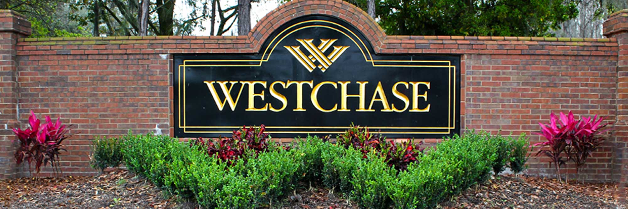 Westchase carpet cleaning - Generations Carpet Cleaning