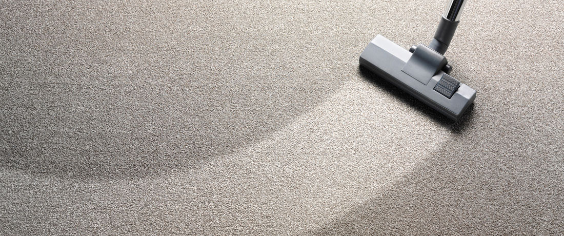 REMOVE THOSE MUDDY PAW PRINTS - Generations Carpet Cleaning